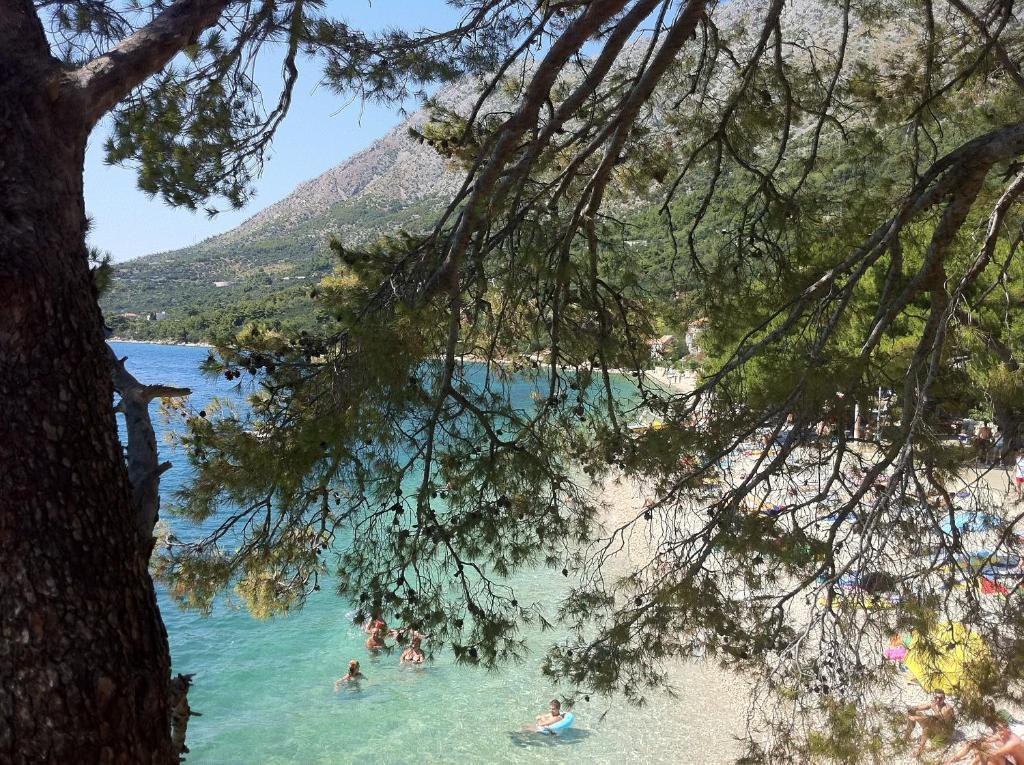 Apartments Vile Holiday Živogošće Kültér fotó